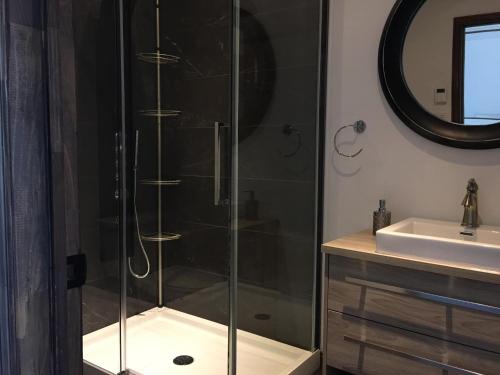 W łazience znajduje się szklana kabina prysznicowa i umywalka. w obiekcie domaine de la vallee w mieście Sainte-Rose-du-Nord