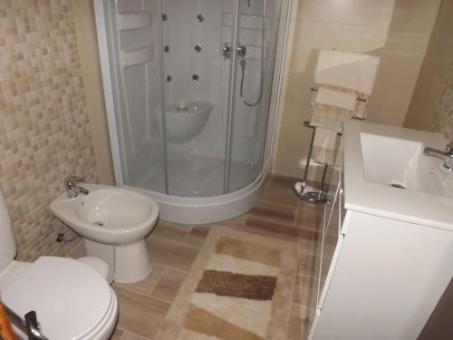 a bathroom with a shower and a toilet and a sink at A casa da vila in Sousel