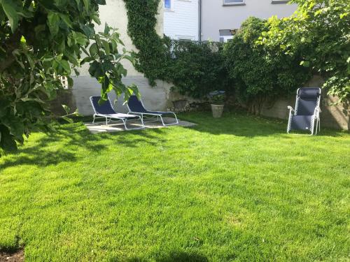 O grădină în afara A Noi Rooms
