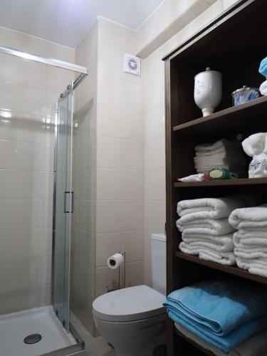 a bathroom with a shower and a toilet and towels at La Dolce Vita in Lagoa