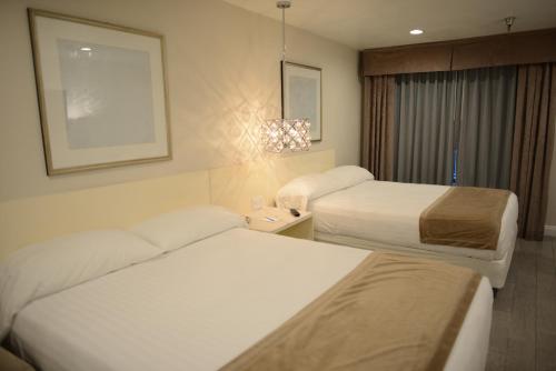 Hotel Le Reve Pasadena – Photos 4