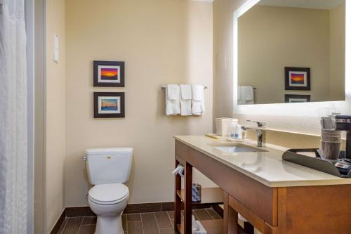 Ένα μπάνιο στο Comfort Suites Savannah Gateway I-95