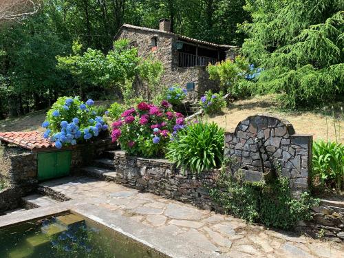 a garden with a bunch of flowers and a pond at Casa do Tanque in Lousã
