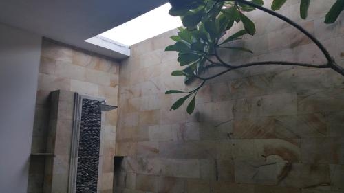 Nalini Resort – Photos 4