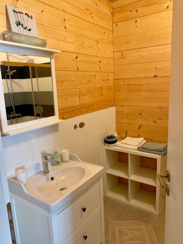 a bathroom with a sink and a mirror at B&B Woodhouse in Brezje