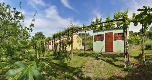 una casa en medio de un campo con árboles en Glamping Green Istria Tiny Houses, en Truške