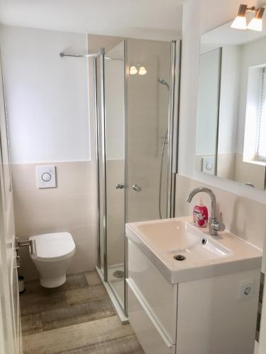 a bathroom with a shower and a sink and a toilet at Ferienhaus Strandgut mit Outdoor Whirlpool und Garten in Petershagen