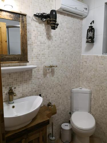 un baño con lavabo, inodoro y espejo en Apartma Lipek, en Pristava
