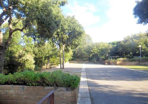 an empty street with trees on the side of the road at Appartamenti Boboli in Punta Ala