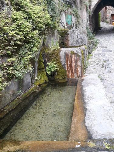 a stone wall with moss on it next to a street at Agriturismo Nonnamelia in Nasino