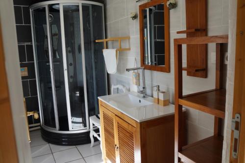 uma casa de banho com um lavatório e um chuveiro em Gîte **** "le refuge des fées" em Saint-Julien-du-Gua