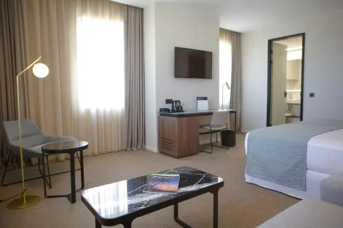 Riu Plaza España photo 42