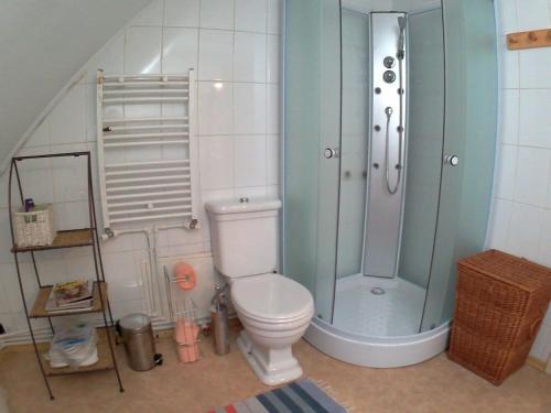 ein Badezimmer mit Toilette und Dusche in der Unterkunft Casa Pintea - Bucovina in Kloster Humor