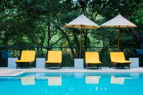 a group of yellow chairs and umbrellas next to a pool at Arika Villa in Dambulla