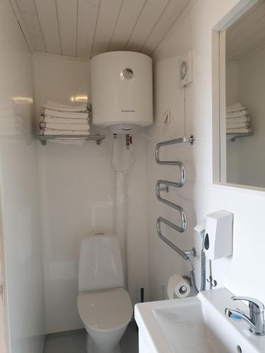 een badkamer met een toilet, een wastafel en een spiegel bij Black Beach Cottage Small in Ölfus