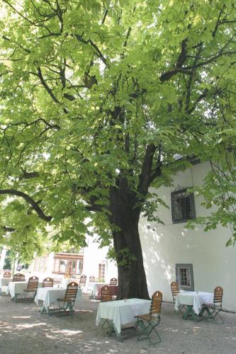 a large tree with tables and chairs under it at Landhotel Agathawirt in Bad Goisern