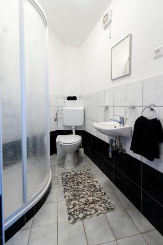 a bathroom with a toilet and a sink and a shower at Villa Istria in Poreč