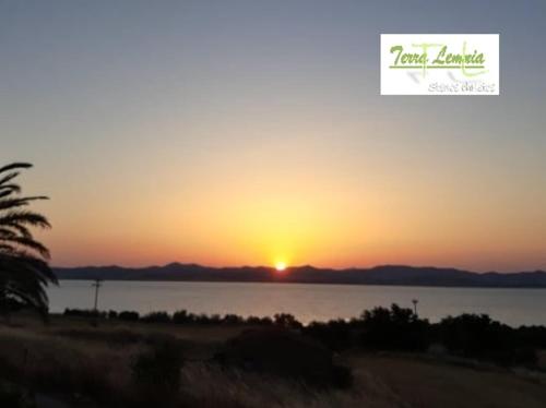 a sunset over a body of water with a palm tree at TERRA LEMNIA in Moudhros