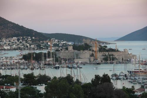 a group of boats docked in a harbor at Flag Suites +12 in Bodrum City