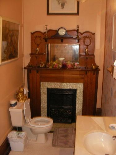 a bathroom with a toilet and a fireplace at Riverview Mansion Hotel in Golconda