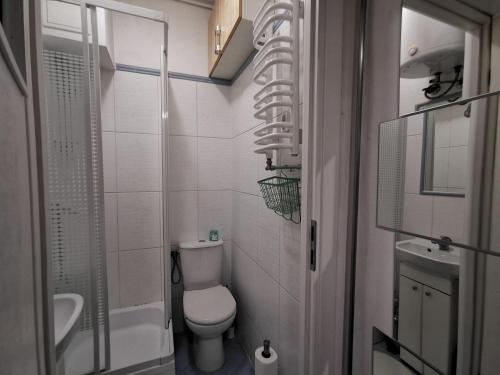 łazienka z toaletą, umywalką i prysznicem w obiekcie Krakow Centrum Gurgacza Apartments w Krakowie