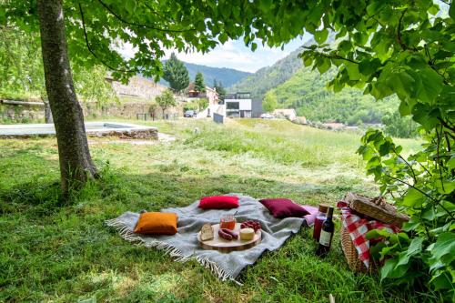 a picnic blanket with food on it in the grass at Hotel da Fábrica in Manteigas