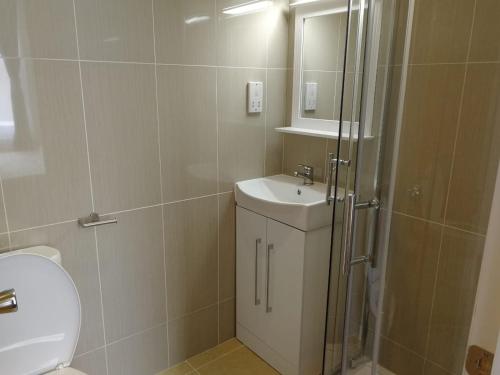 a bathroom with a toilet and a sink and a shower at Daisy Hotel in London