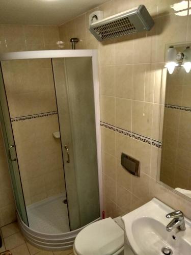a bathroom with a shower and a toilet and a sink at Apartments Grkinić in Karlobag