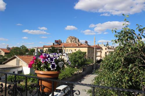 Zahrada ubytování Capiedra Hotel