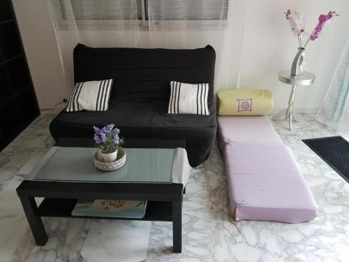 un salon avec un canapé et une table basse dans l'établissement T2 DE 40 M2 EN REZ DE JARDIN Avec parking CARNON PLAGE, à Mauguio