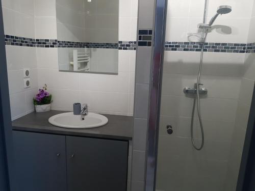 a bathroom with a sink and a shower at T2 DE 40 M2 EN REZ DE JARDIN Avec parking CARNON PLAGE in Mauguio