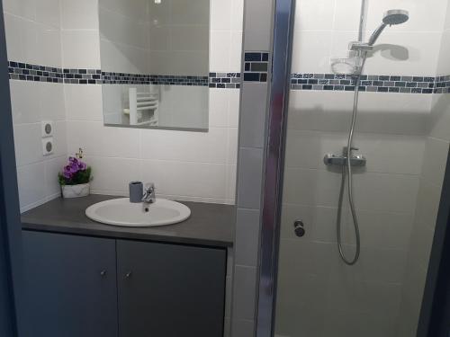 une salle de bain avec un lavabo et une douche dans l'établissement T2 DE 40 M2 EN REZ DE JARDIN Avec parking CARNON PLAGE, à Mauguio