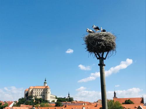 two birds in a nest on top of a light pole at Penzion Čáp in Mikulov