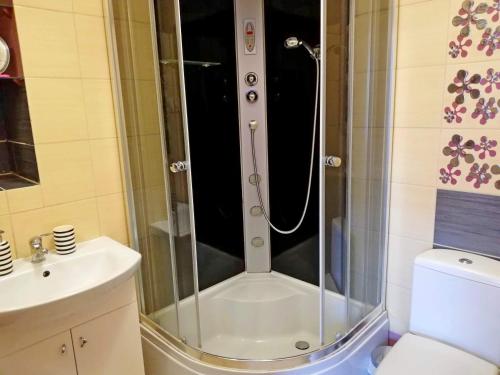 a shower in a bathroom with a toilet and a sink at Ranczo u Stefana in Ustronie Morskie