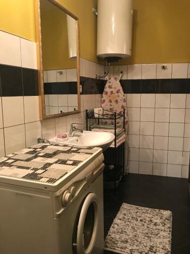 a bathroom with a sink and a washing machine at Apartment Gismondi in Ičići