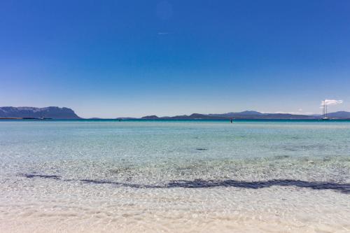 Fotografie z fotogalerie ubytování Appartamenti Begonia - Terza Spiaggia v destinaci Golfo Aranci