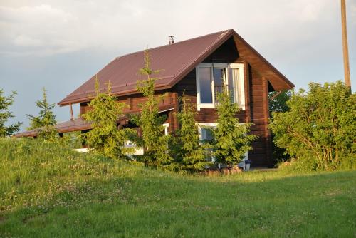 a wooden house with a brown roof on a hill at Kliukai in Dubingiai