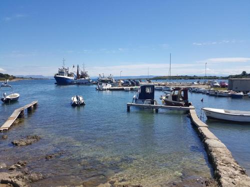 a group of boats are docked in a harbor at Apartment Stanko in Ližnjan