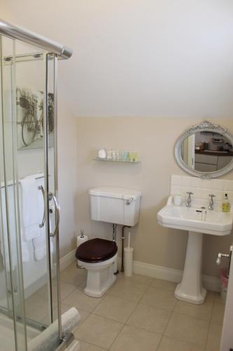 La salle de bains est pourvue de toilettes et d'un lavabo. dans l'établissement The Loft, Apple Lodge & Blossom Lodge, à Macroom