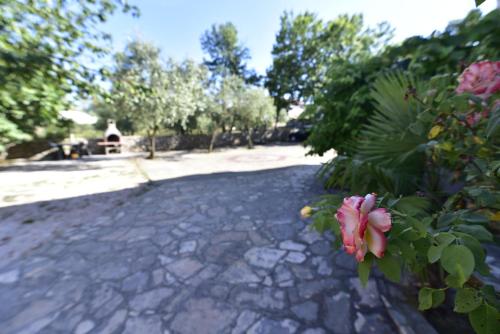 Gallery image of Apartments Matthew & Oscar in Porat