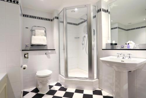 a bathroom with a shower and a toilet and a sink at Macdonald Botley Park Hotel & Spa in Southampton