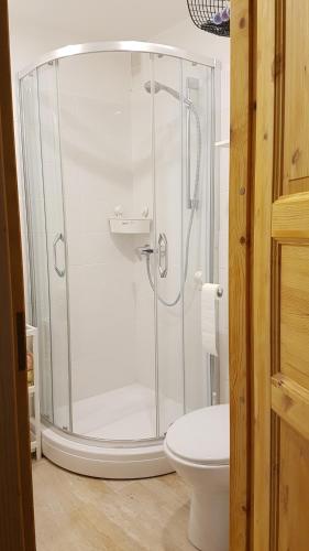 una doccia in vetro in un bagno con WC di Laine a Jūrmala