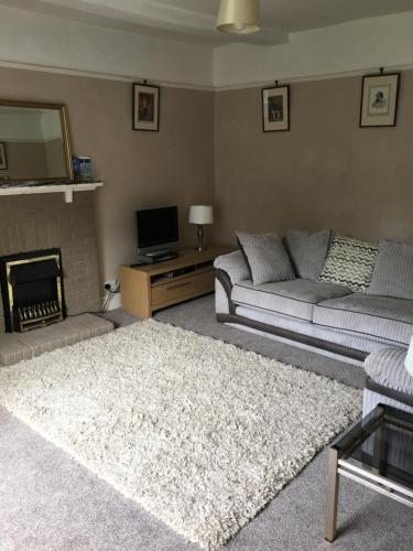 a living room with a couch and a fireplace at Ballydivity House in Ballymoney