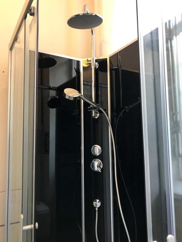 a shower with a shower head in a bathroom at Kungsgatans Gryta & Hotell in Malmö