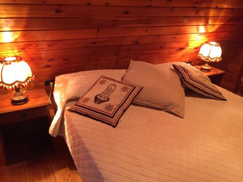 a bedroom with a bed with two lamps and a book at Chalet Alma in Frabosa Sottana