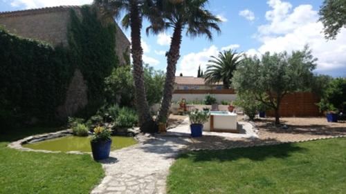 un jardín con palmeras y un estanque en un patio en Au jardin d'Amphora en Ginestas