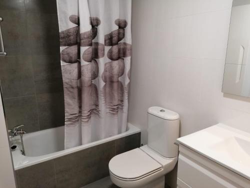 a bathroom with a toilet and a shower curtain at Apartamento Serreria de Boltaña in Boltaña