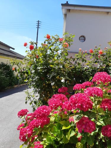 a bunch of pink flowers in front of a building at Aerotel Versailles Saint Cyr - L'étape du Silence in Saint-Cyr-lʼÉcole