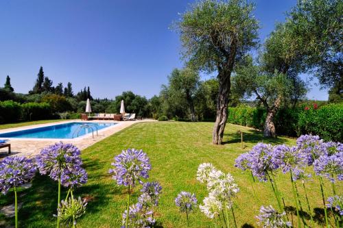 a garden with a swimming pool and purple flowers at STONE ROSE VILLA in Agios Ioannis