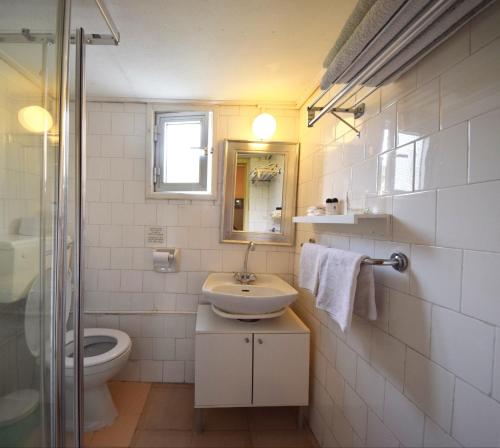 a bathroom with a sink and a toilet and a mirror at Christys Palace Hotel in Pedoulas